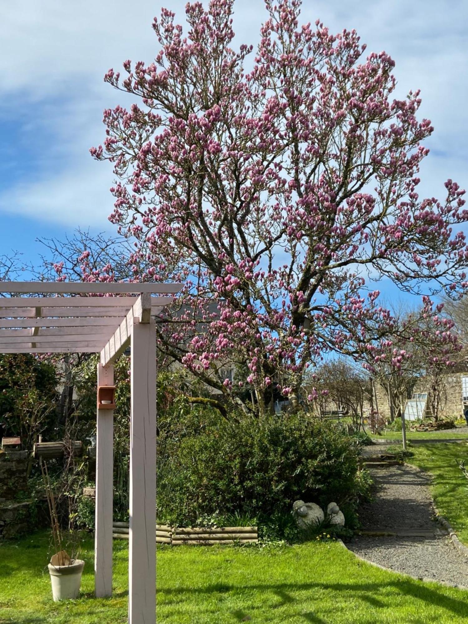 Atipyk'Ododo Bed & Breakfast Saint-James Eksteriør bilde